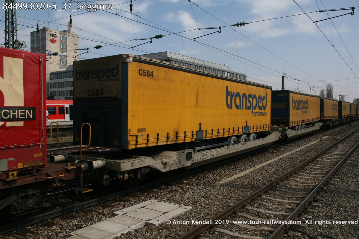 844993020-5_37_Sdggmrs.JPG